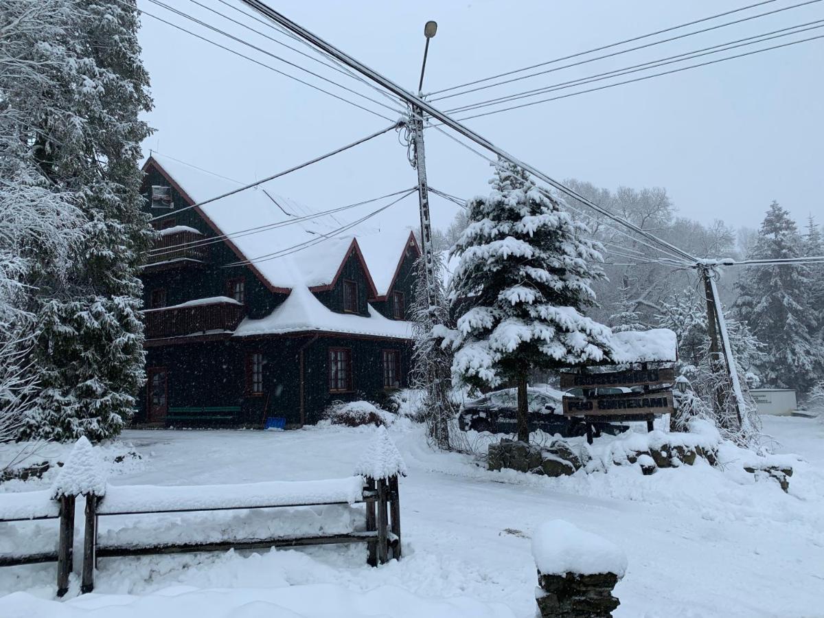 チョルシュティン Gosciniec Pod Smrekami Bed & Breakfast エクステリア 写真