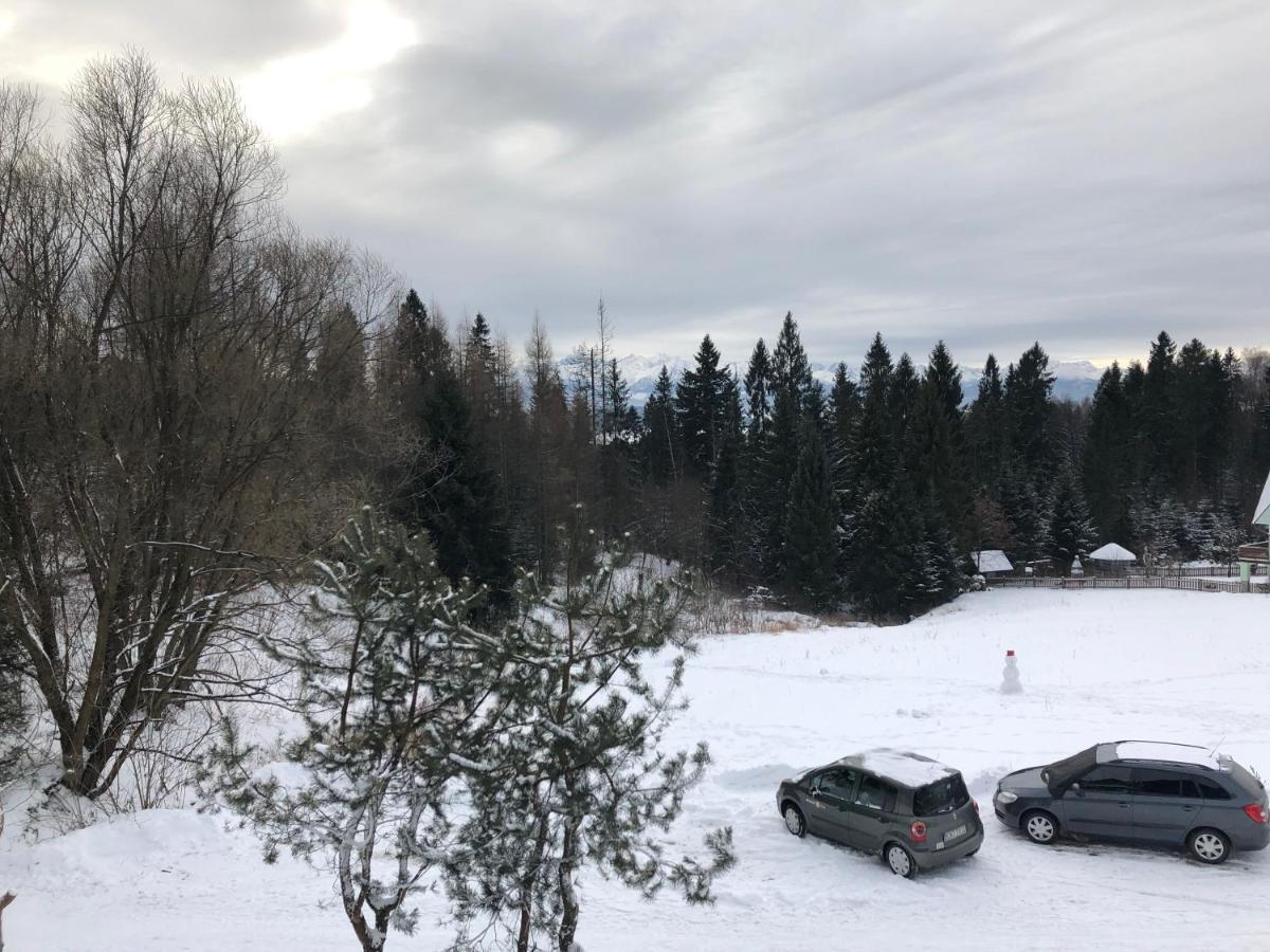 チョルシュティン Gosciniec Pod Smrekami Bed & Breakfast エクステリア 写真